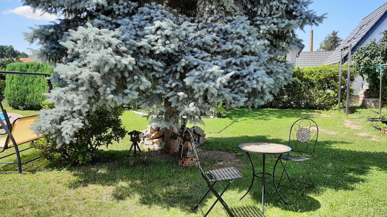 Ferienwohnung Koenig Niedergurig Bei Bautzen Malschwitz Exterior foto